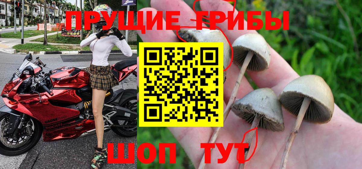 Сосновоборск  Галлюциногенные грибы Magic Shrooms  Вход с VPN 